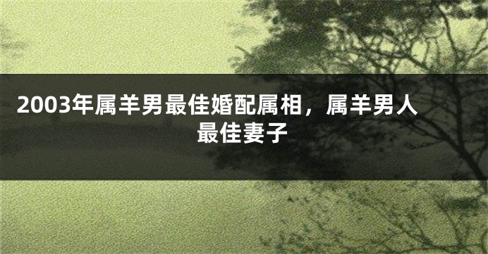 2003年属羊男最佳婚配属相，属羊男人最佳妻子