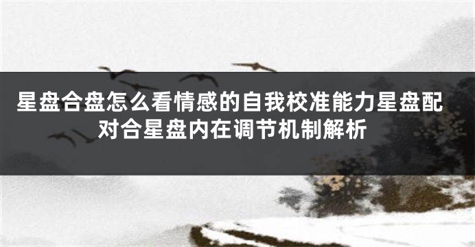 星盘合盘怎么看情感的自我校准能力星盘配对合星盘内在调节机制解析