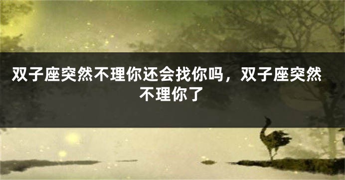 双子座突然不理你还会找你吗，双子座突然不理你了