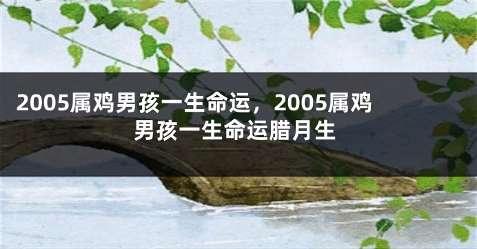 2005属鸡男孩一生命运，2005属鸡男孩一生命运腊月生