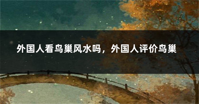 外国人看鸟巢风水吗，外国人评价鸟巢