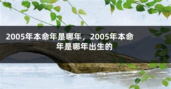 2005年本命年是哪年，2005年本命年是哪年出生的