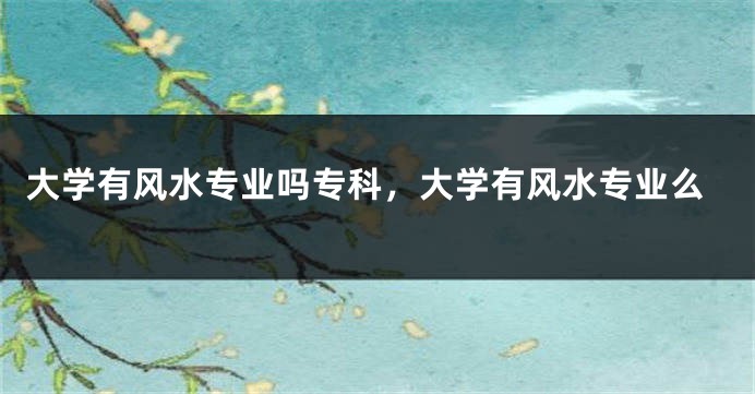 大学有风水专业吗专科，大学有风水专业么