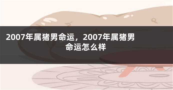 2007年属猪男命运，2007年属猪男命运怎么样