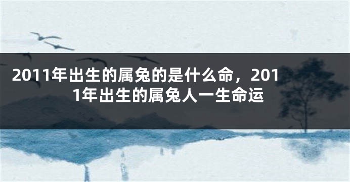 2011年出生的属兔的是什么命，2011年出生的属兔人一生命运