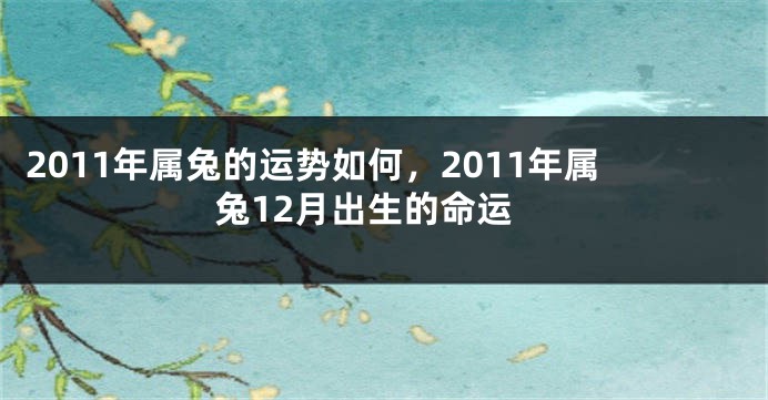 2011年属兔的运势如何,2011年属兔12月出生的命运