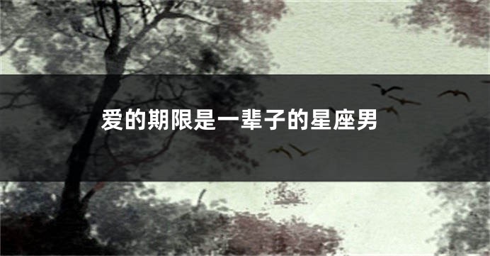 爱的期限是一辈子的星座男
