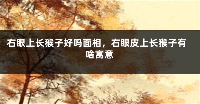 右眼上长猴子好吗面相，右眼皮上长猴子有啥寓意