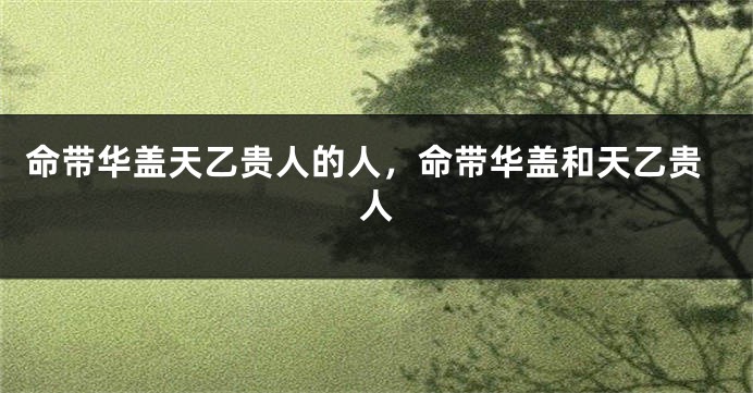 命带华盖天乙贵人的人，命带华盖和天乙贵人