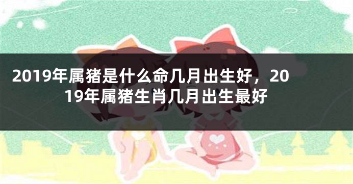 2019年属猪是什么命几月出生好，2019年属猪生肖几月出生最好