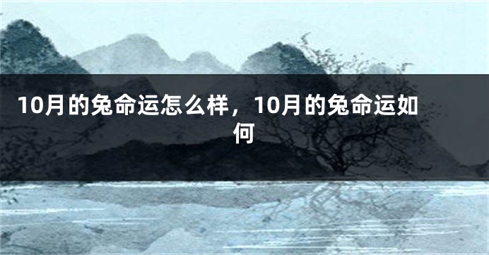 10月的兔命运怎么样,10月的兔命运如何