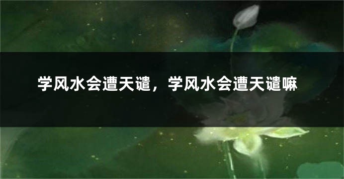 学风水会遭天谴，学风水会遭天谴嘛