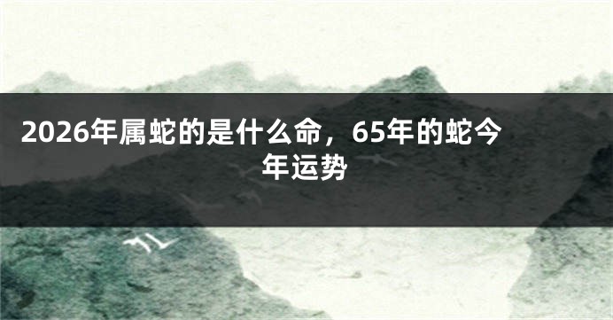 2026年属蛇的是什么命,65年的蛇今年运势