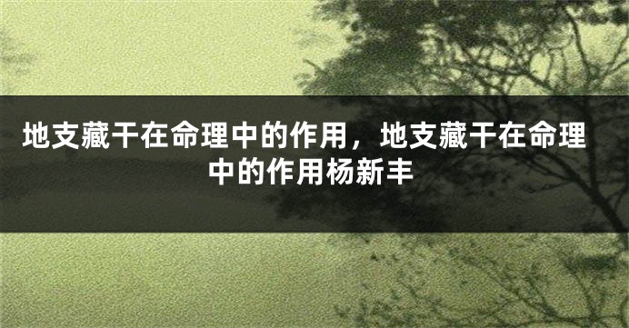 地支藏干在命理中的作用，地支藏干在命理中的作用杨新丰