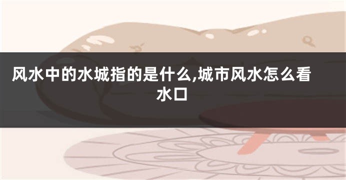 风水中的水城指的是什么,城市风水怎么看水口
