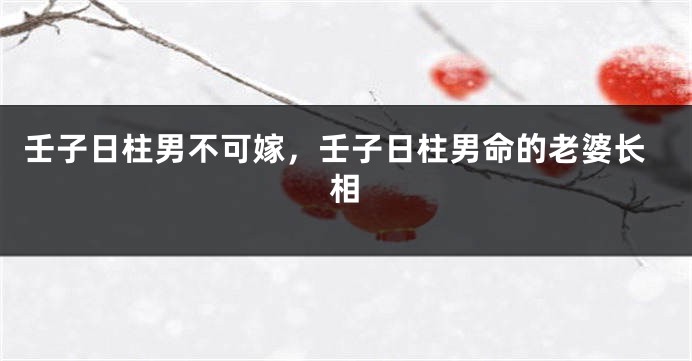 壬子日柱男不可嫁，壬子日柱男命的老婆长相