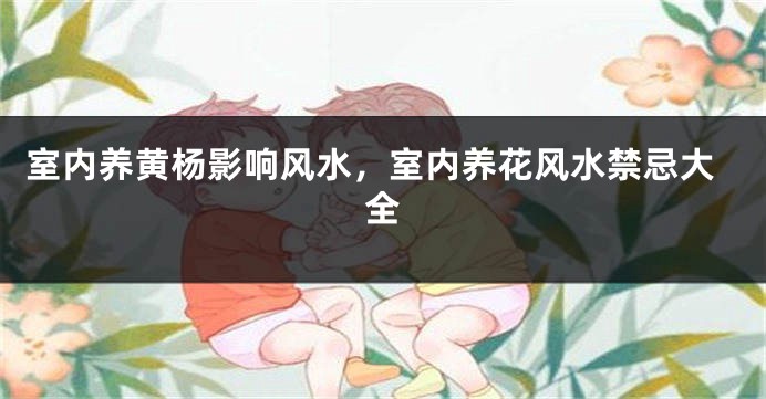室内养黄杨影响风水，室内养花风水禁忌大全