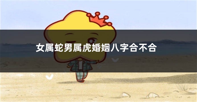 女属蛇男属虎婚姻八字合不合