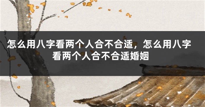 怎么用八字看两个人合不合适，怎么用八字看两个人合不合适婚姻