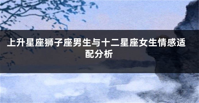 上升星座狮子座男生与十二星座女生情感适配分析