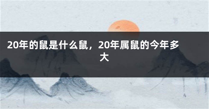 20年的鼠是什么鼠，20年属鼠的今年多大