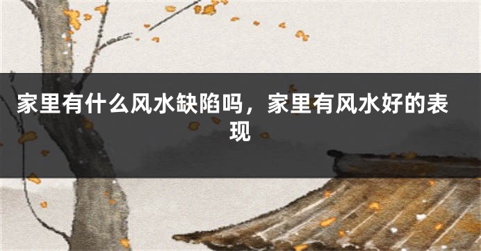 家里有什么风水缺陷吗，家里有风水好的表现