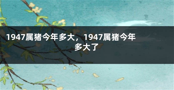 1947属猪今年多大，1947属猪今年多大了