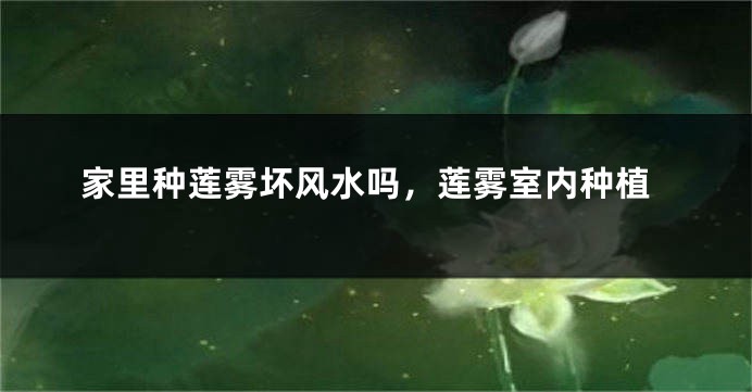 家里种莲雾坏风水吗，莲雾室内种植