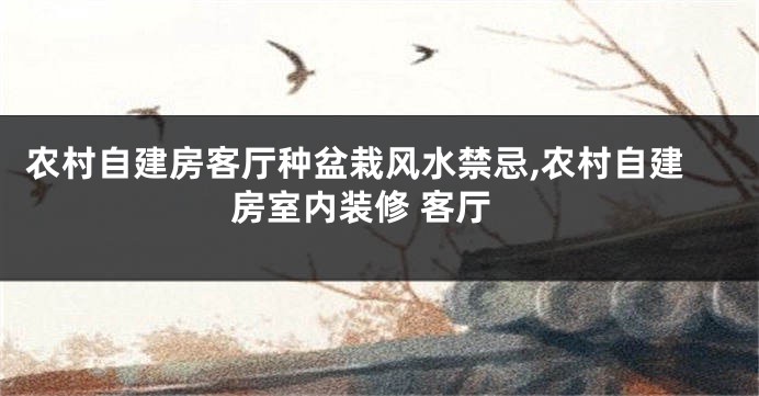 农村自建房客厅种盆栽风水禁忌,农村自建房室内装修 客厅