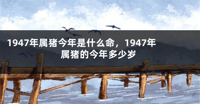 1947年属猪今年是什么命，1947年属猪的今年多少岁
