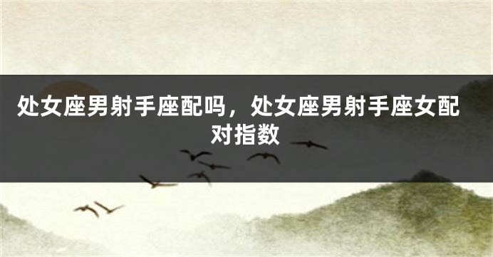 处女座男射手座配吗,处女座男射手座女配对指数