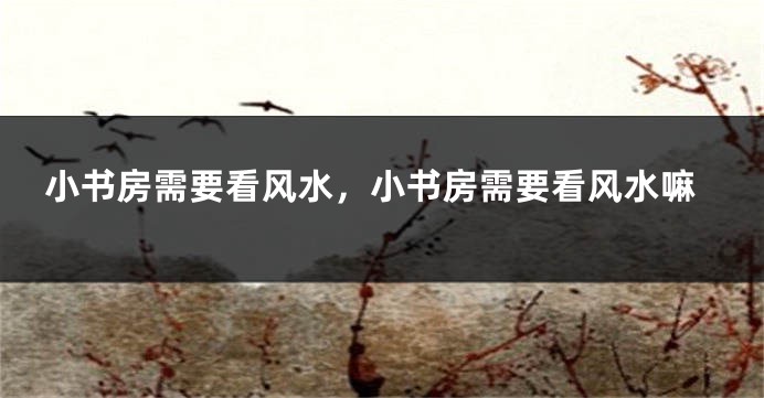 小书房需要看风水，小书房需要看风水嘛