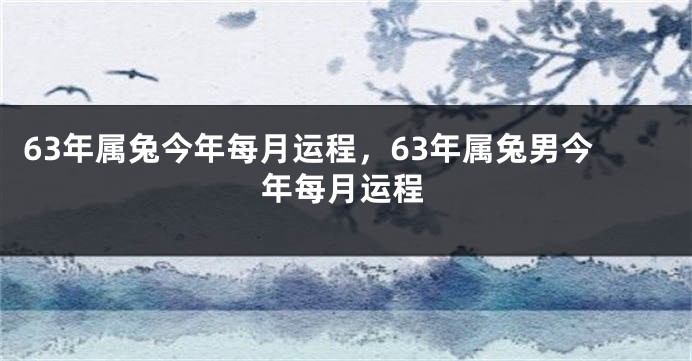 63年属兔今年每月运程，63年属兔男今年每月运程