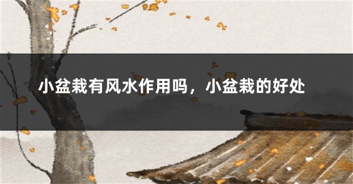 小盆栽有风水作用吗，小盆栽的好处