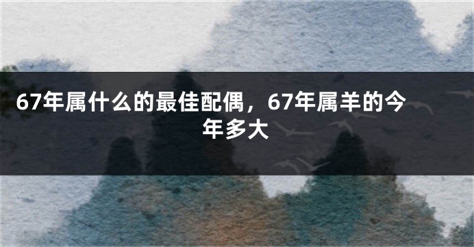 67年属什么的最佳配偶,67年属羊的今年多大
