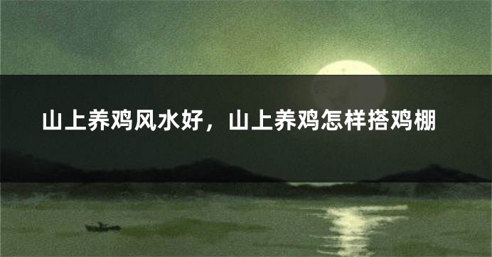 山上养鸡风水好,山上养鸡怎样搭鸡棚