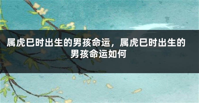 属虎巳时出生的男孩命运,属虎巳时出生的男孩命运如何