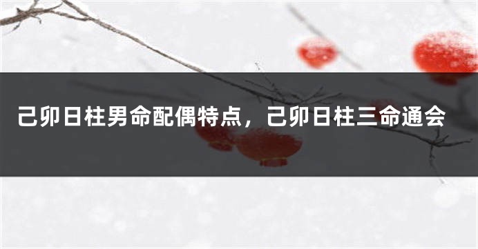 己卯日柱男命配偶特点,己卯日柱三命通会