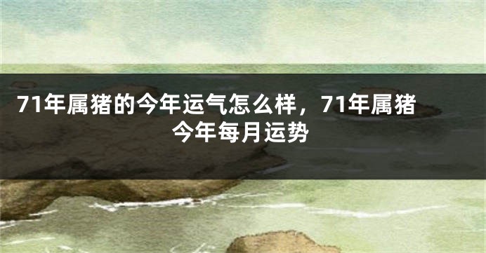 71年属猪的今年运气怎么样,71年属猪今年每月运势
