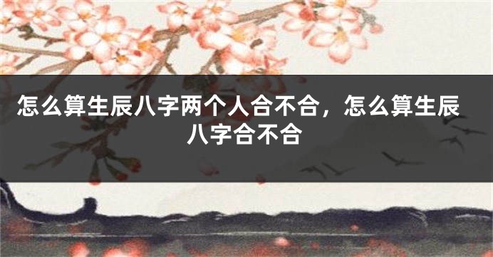 怎么算生辰八字两个人合不合,怎么算生辰八字合不合