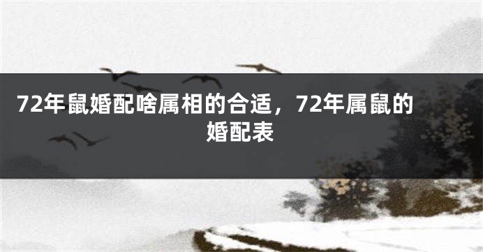 72年鼠婚配啥属相的合适,72年属鼠的婚配表