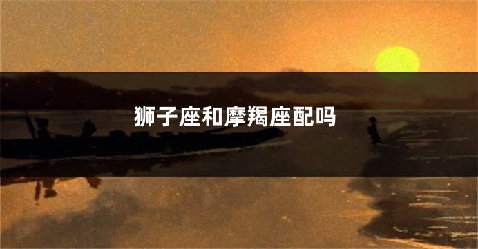 狮子座和摩羯座配吗