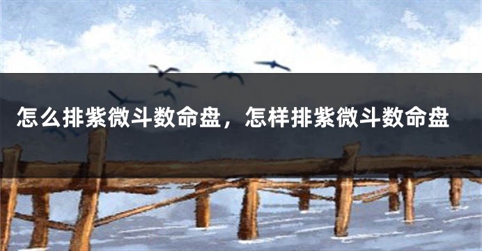 怎么排紫微斗数命盘,怎样排紫微斗数命盘