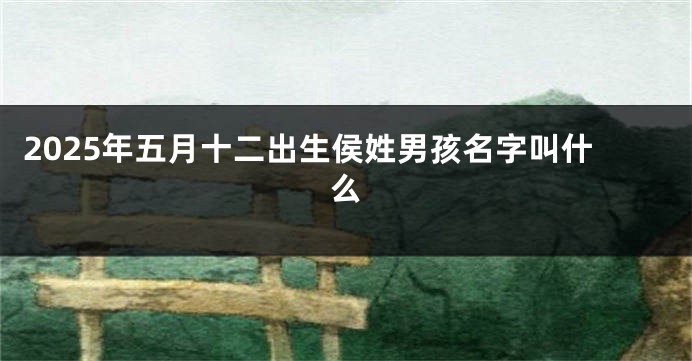 2025年五月十二出生侯姓男孩名字叫什么