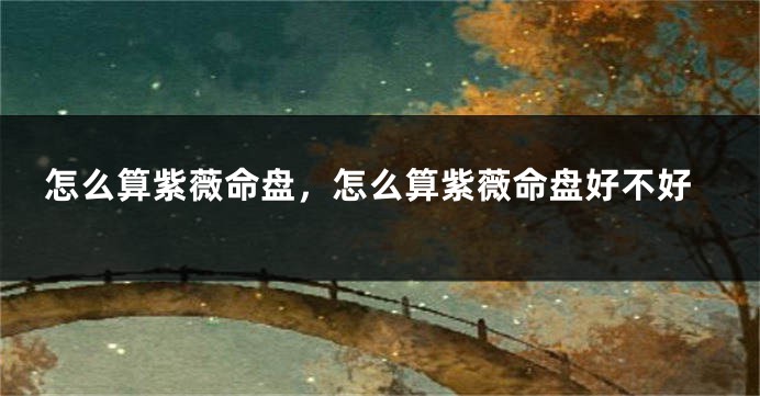 怎么算紫薇命盘,怎么算紫薇命盘好不好