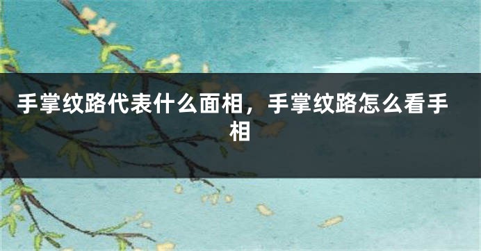 手掌纹路代表什么面相,手掌纹路怎么看手相