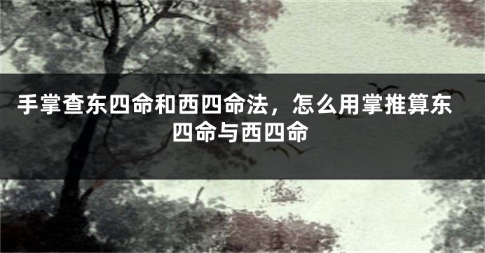手掌查东四命和西四命法,怎么用掌推算东四命与西四命