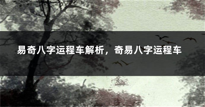 易奇八字运程车解析,奇易八字运程车