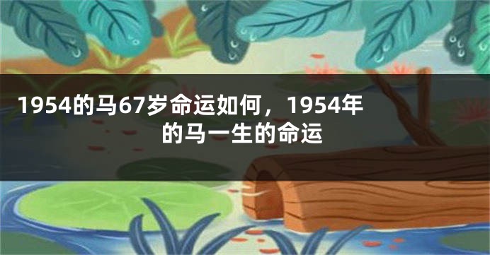 1954的马67岁命运如何，1954年的马一生的命运