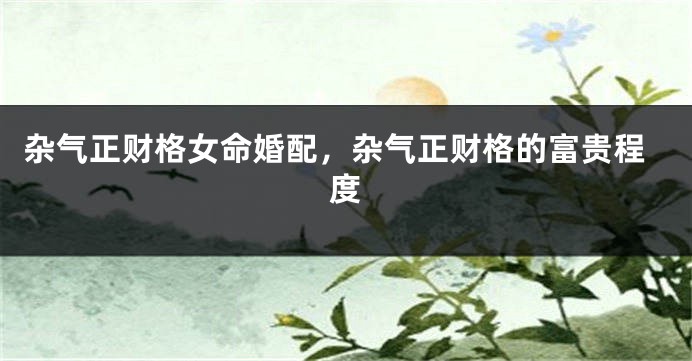 杂气正财格女命婚配，杂气正财格的富贵程度